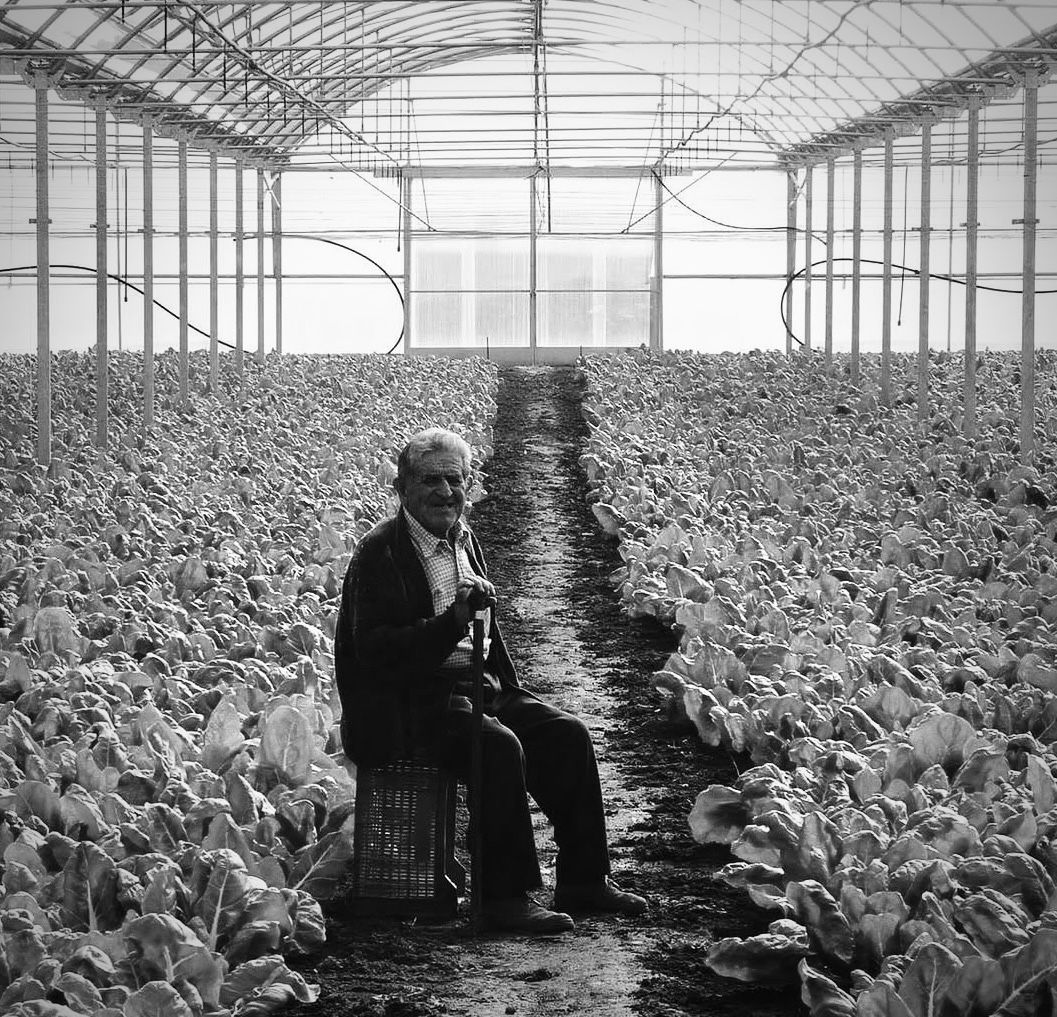 Garmonte — Archivo histórico