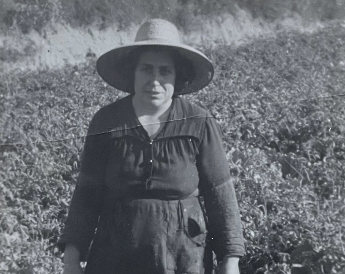 Garmonte — Archivo histórico